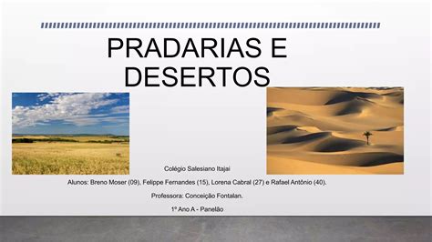 antigos desertos e pradarias|pradarias e estepas.